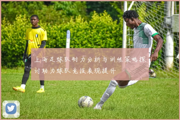 上海足球队耐力分析与训练策略探讨助力球队竞技表现提升